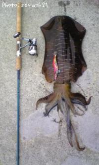 ¥¢¥ª¥ê¥¤¥«