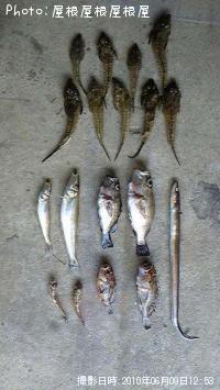 ¤ªµû¤µ¤óÂ罸¹ç¡Ê¾Ð¡Ë