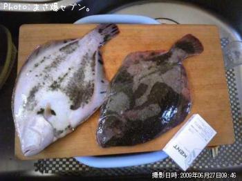 ¥Þ¥Ä¥«¥ï¥¬¥ì¥¤