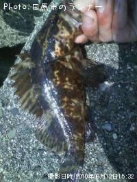 �����Υ���Х�