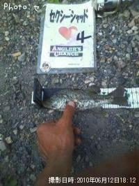 �֥�å��Х�