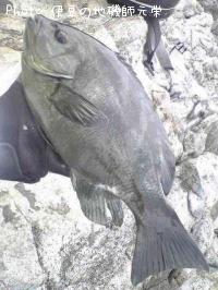 �����᥸��