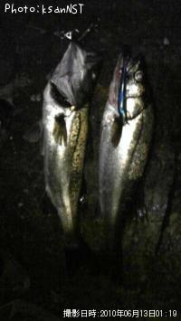 �����Х�