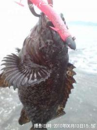 ���󥶥쥹��