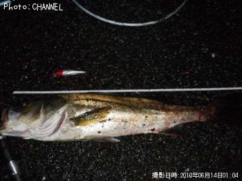 �����Х�