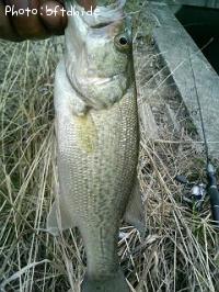 �֥�å��Х�