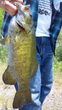 ���⡼��ޥ����Х�