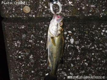 �����Х�