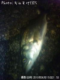 �����Х�