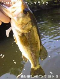 ¥Ö¥é¥Ã¥¯¥Ð¥¹