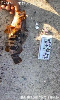 �٥å�������