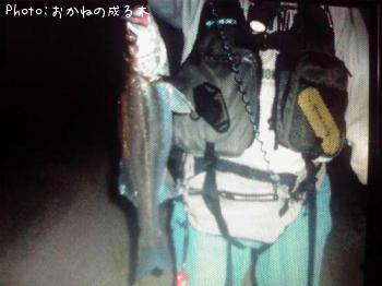 �����Х�