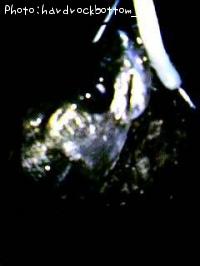 �����Х�