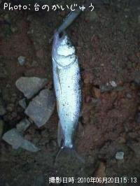 �ޥ���