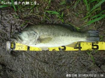 �֥�å��Х�