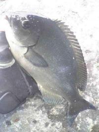 ��Ĺ�᥸��