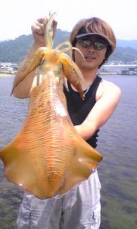 ¥¢¥ª¥ê¥¤¥«