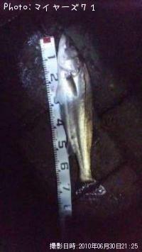 �����Х�