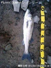 �����Х�