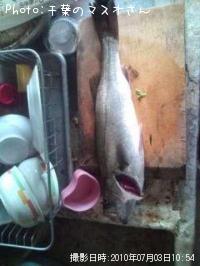 �����Х�