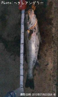 �����Х�