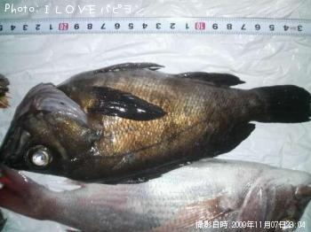 ¥á¥Ð¥ë