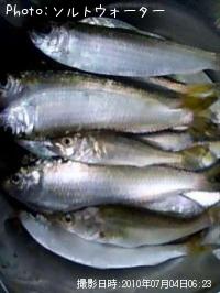 ¥µ¥Ã¥Ñ£á£î£ä¥»¥¤¥´