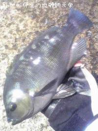 �����᥸��