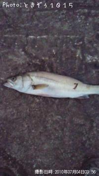 �����Х�