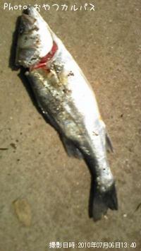 �����Х�