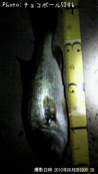 ¥Ö¥é¥Ã¥¯¥Ð¥¹