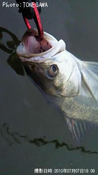 �����Х�