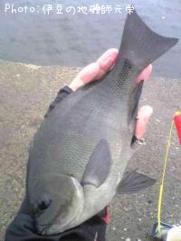 �����᥸��