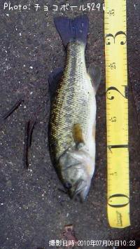 ¥Ö¥é¥Ã¥¯¥Ð¥¹