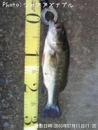 ¥Ö¥é¥Ã¥¯¥Ð¥¹