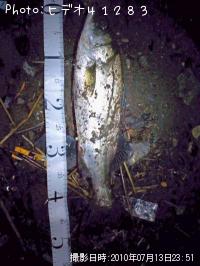 �����Х�