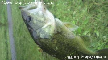 ¥Ö¥é¥Ã¥¯¥Ð¥¹