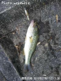 �֥�å��Х�