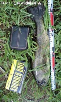 �֥�å��Х�