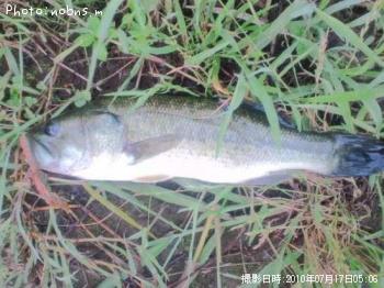 ¥Ö¥é¥Ã¥¯¥Ð¥¹