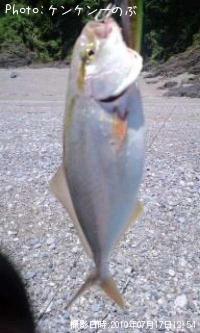 ¥·¥ª¡Ê¥«¥ó¥Ñ¥Á¡Ë