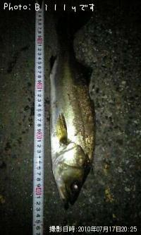 �����Х�