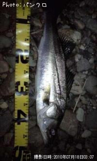 �����Х�