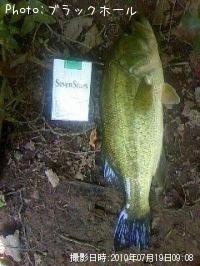 ¥Ö¥é¥Ã¥¯¥Ð¥¹