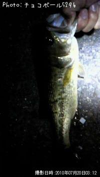 �֥�å��Х�