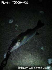 �����Х�