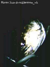 �����Х�