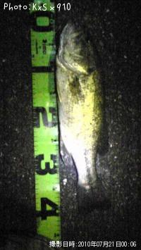 �֥�å��Х�