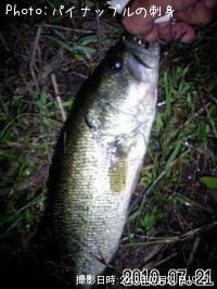 �֥�å��Х�