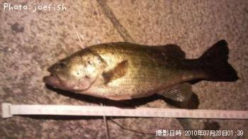 �֥�å��Х�